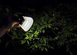 Solar Led Camping Lamp - Tent Verlichting Oplaadbaar - Solar Lantaarn Tafellamp Opvouwbare Campinglamp - King Mungo -Buiten Reizen Winkel 1200x856